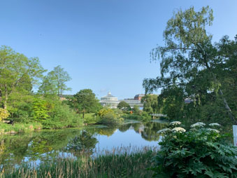 View towards the Palm House in the Botanical Garden, Copenhagen