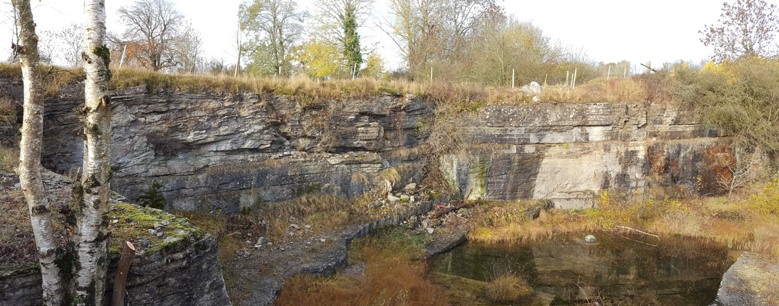 Darriwilian cool-water limestone (orthoceratite limestone) at Komstad quarry, Scania.
